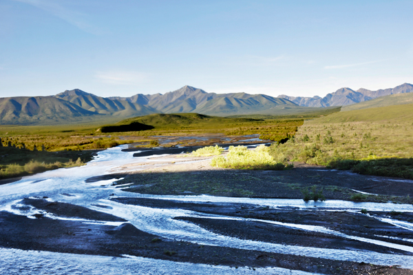 braided river